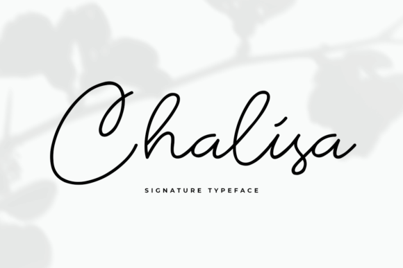 Chalisa: The Premium Script Font That Elevates Small Business Branding