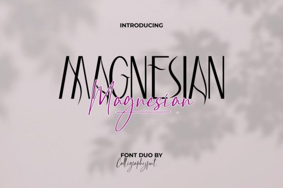 Magnesian Typeface: The Font Duo That Elevates Campaign Design