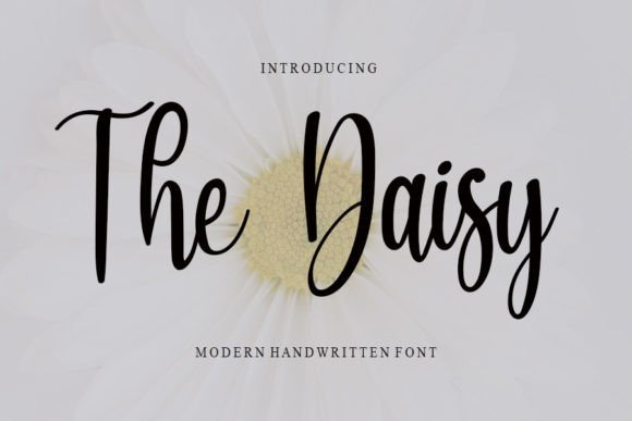 The Daisy: A Modern Script Typeface for Editorial Design