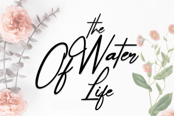 The Water of Life: A Whimsical Handwritten Font for Playful Branding