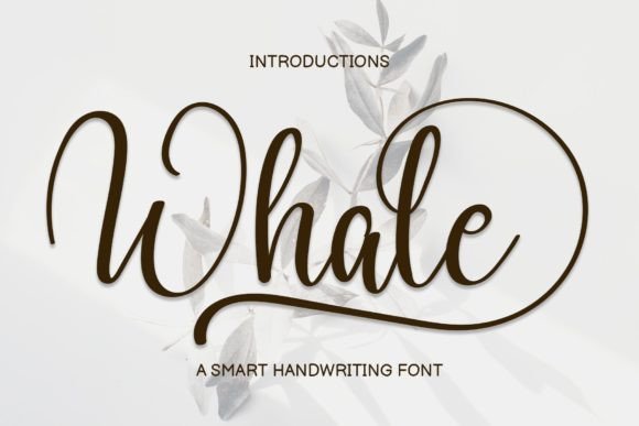 Whale Typeface Review: A Sweet Handwritten Font for Branding