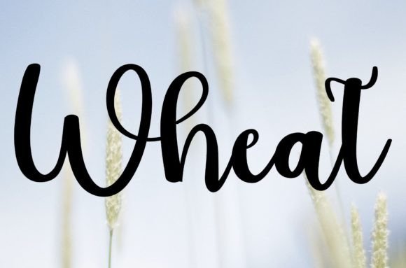 Wheat: The Handwritten Typeface That Elevates Your Craft Shop