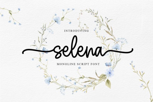 Why Selena Became My Go-To Script Font for High-Impact Campaigns